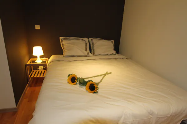 Apartment in Rue des Deux Tours, Saint-Josse-ten-Noode (634251) ROOM