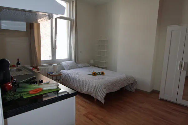 Apartment in Rue des Deux Tours, Saint-Josse-ten-Noode (634275) room image 1
