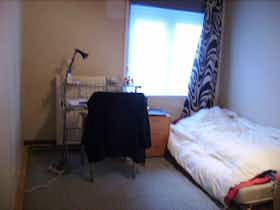 私人房间 正在以 €347 的月租出租，其位于 Gent, Groendreef