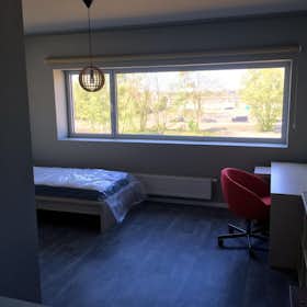 Private room for rent for €545 per month in Antwerpen, Hobokense Vest