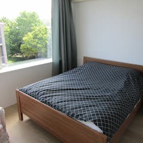 Privé kamer te huur voor € 700 per maand in Delft, Van der Lelijstraat
