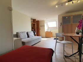 Studio for rent for €700 per month in Anderlecht, Lenniksebaan