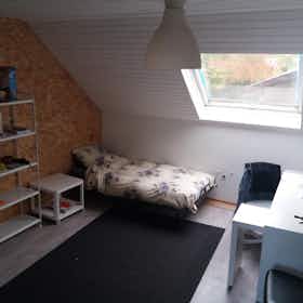 私人房间 正在以 €350 的月租出租，其位于 Gent, Heizen