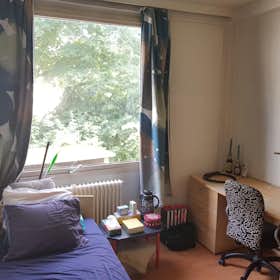 Private room for rent for €245 per month in Leuven, Tervuursevest