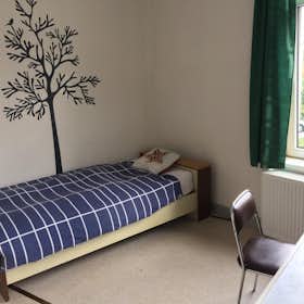 Private room for rent for €300 per month in Kortrijk, Hoveniersstraat