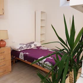 Studio for rent for €350 per month in Florence, Via Giovanni Fabbroni