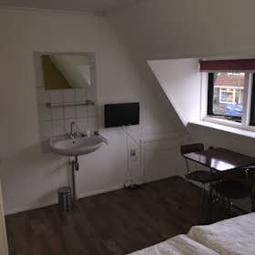 WG-Zimmer for rent for 695 € per month in Driebergen-Rijsenburg, Traaij