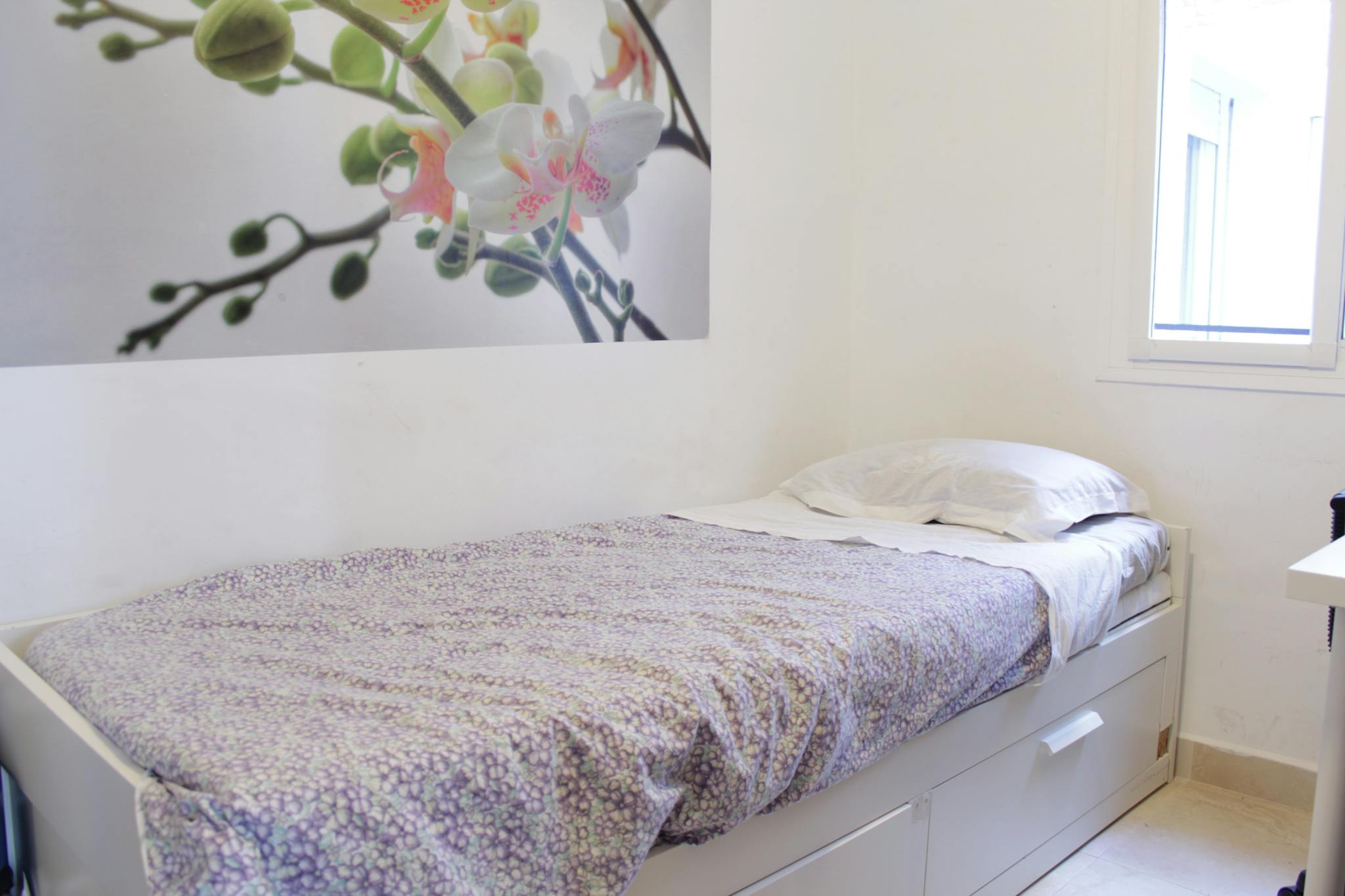 Calle Guadalupe, Sevilla preview