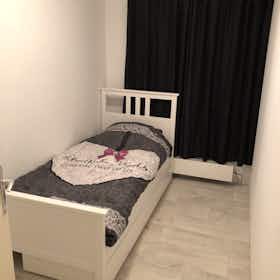Отдельная комната сдается в аренду за 800 € в месяц в Rotterdam, Grote Visserijstraat