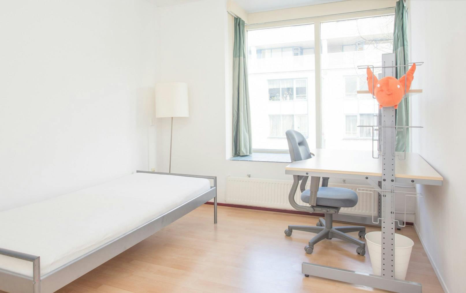 Herman Bavinckstraat, Rotterdam preview