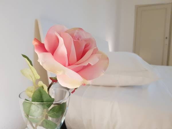 Via delle Badesse, Florence preview