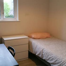 Private room for rent for €860 per month in Dublin, Saint Alphonsus' Road Upper