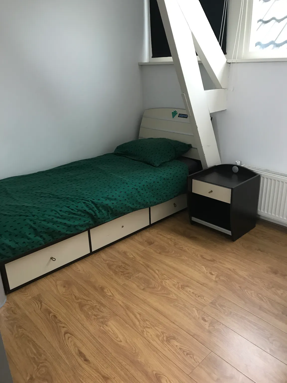 Private room in Aleidisstraat, Rotterdam (693272) ROOM