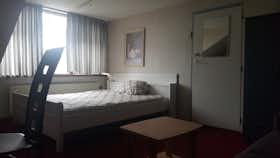Отдельная комната сдается в аренду за 875 € в месяц в Hellevoetsluis, Meeuwenlaan