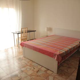 Отдельная комната сдается в аренду за 430 € в месяц в Pisa, Via Giuseppe Montanelli