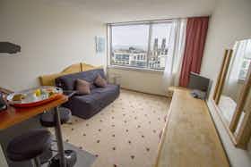 单间公寓 正在以 €645 的月租出租，其位于 Nancy, Place Thiers