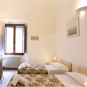 Общая комната сдается в аренду за 450 € в месяц в Siena, Via del Porrione
