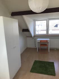 私人房间 正在以 €350 的月租出租，其位于 Maastricht, Notenborg