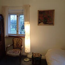 Private room for rent for DKK 3,875 per month in Aalborg, Kirkegårdsgade
