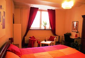 Private room for rent for €725 per month in Schaerbeek, Rue Gustave Fuss
