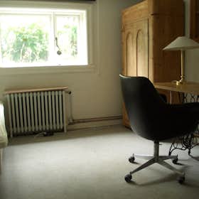 Chambre privée for rent for 103 710 ISK per month in Reykjavík, Öldugata
