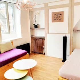 Appartamento for rent for 2.600 € per month in Lille, Rue du Vert Bois