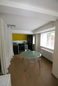 Apartament de închiriat pentru 1.150 EUR pe lună în Strasbourg, Rue Sebitz