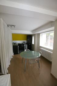 公寓 正在以 €1,150 的月租出租，其位于 Strasbourg, Rue Sebitz