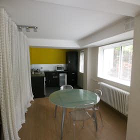 Apartament de închiriat pentru 1.150 EUR pe lună în Strasbourg, Rue Sebitz