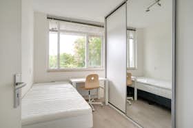 Privé kamer te huur voor € 850 per maand in Rotterdam, Kobelaan