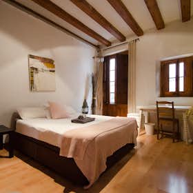 Apartment for rent for €1,200 per month in Barcelona, Carrer d'Escudellers Blancs