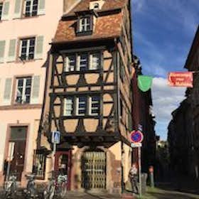 Kawalerka do wynajęcia za 750 € miesięcznie w mieście Strasbourg, Rue Sainte-Madeleine