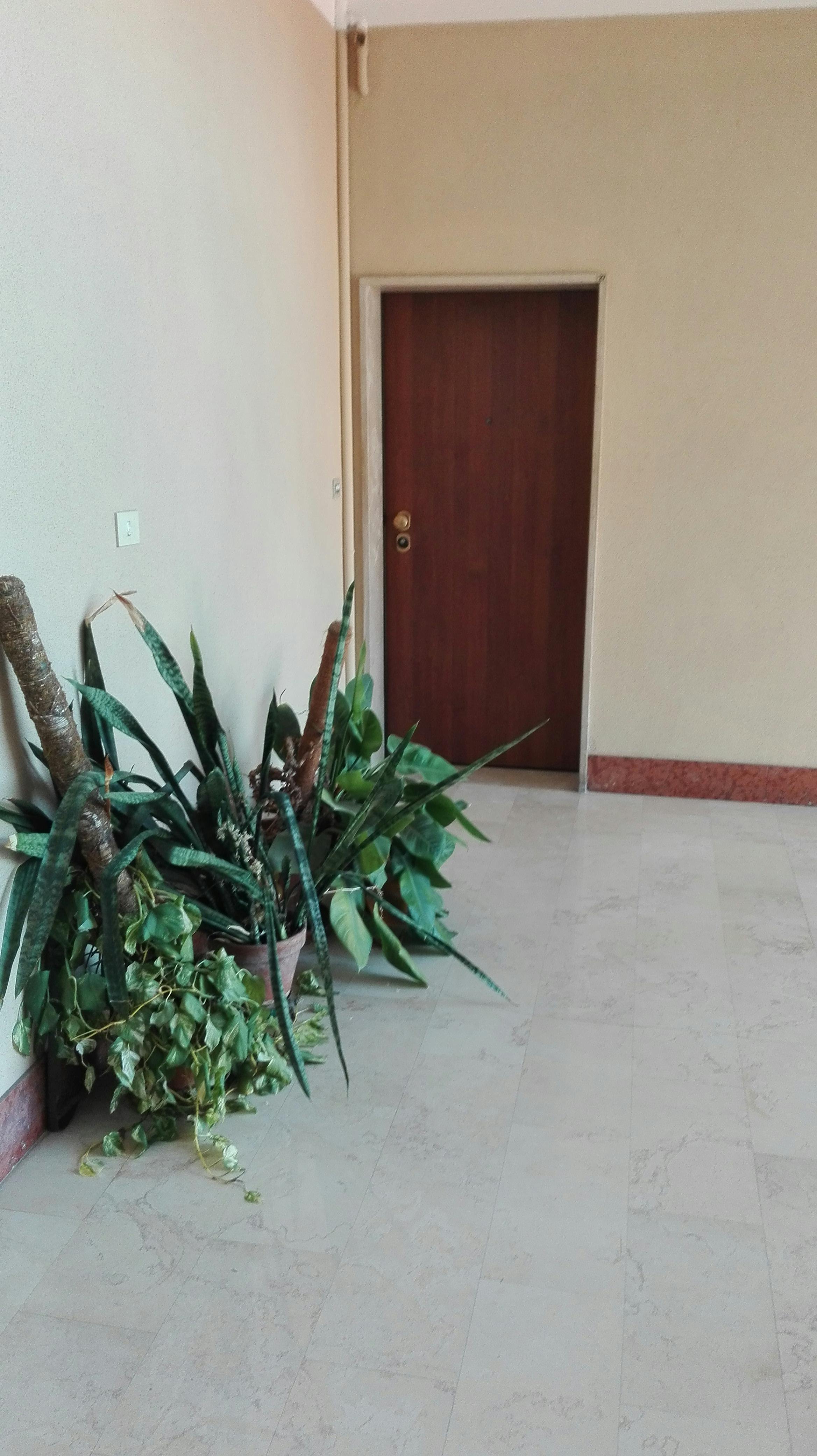 Shared room for rent for €300 per month in Bologna, Via Leonetto Cipriani