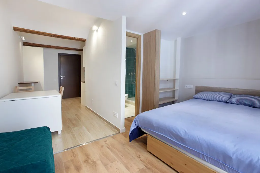 Apartment in Carrer Nou de Dulce, Barcelona (760839) ROOM 1