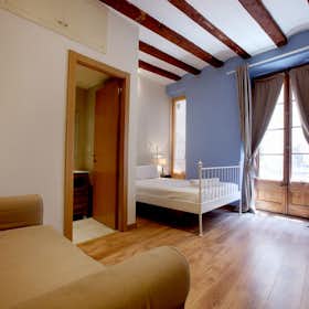 Studio for rent for €945 per month in Barcelona, Carrer Nou de la Rambla