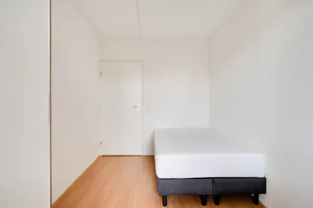 Private room in Kobelaan, Rotterdam (764740) room image 2