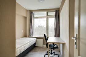 Приватна кімната за оренду для 820 EUR на місяць у Rotterdam, Cornelis Bloemaertsingel