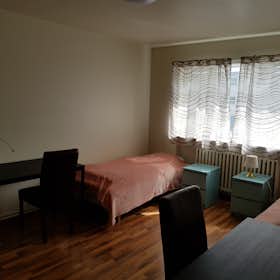 Private room for rent for €1,532 per month in Reykjavík, Skipholt