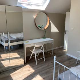 Private room for rent for €490 per month in Schaerbeek, Avenue de Roodebeek