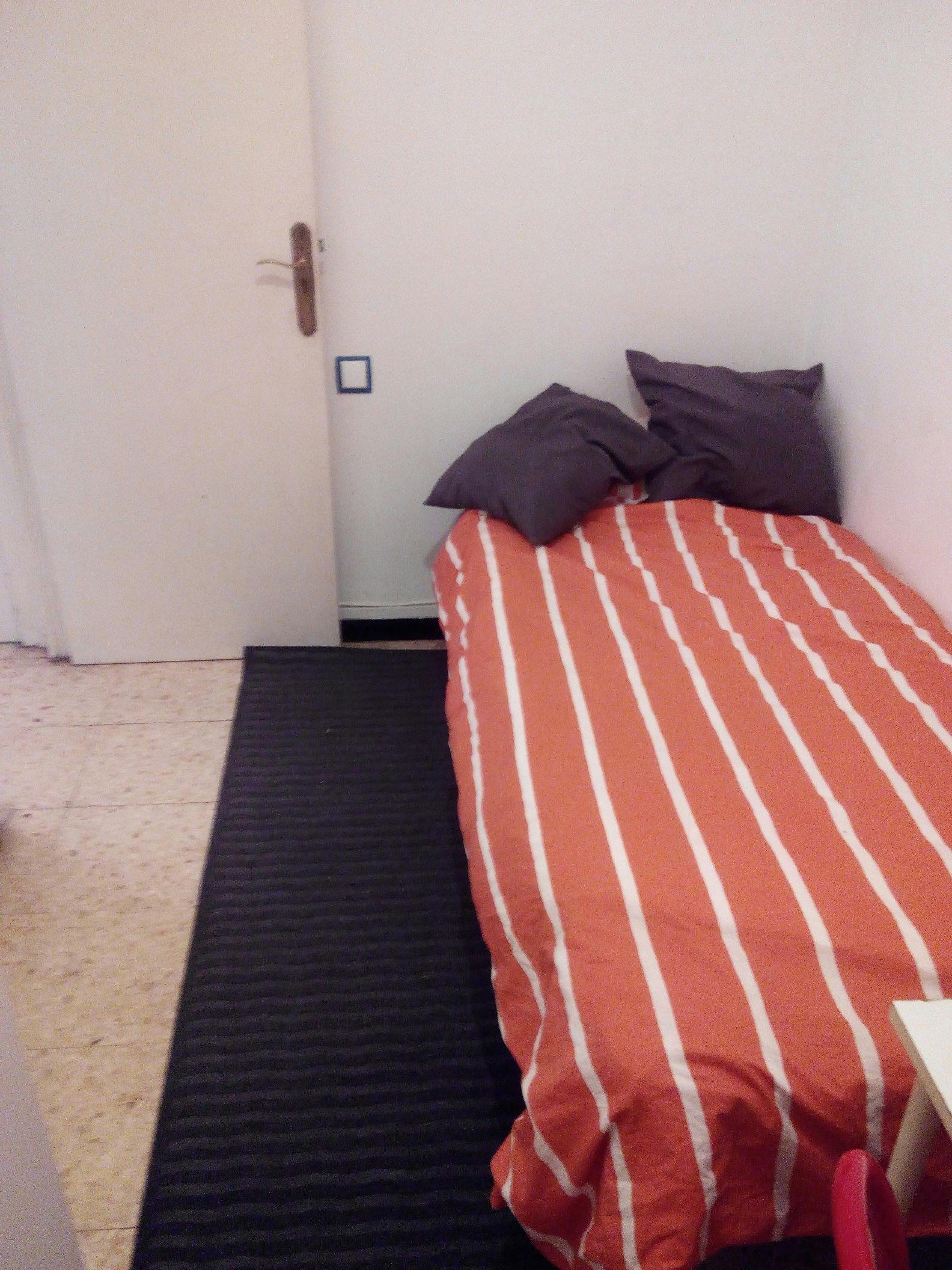 Passeig de la Zona Franca, Barcelona preview