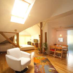 Appartement te huur voor € 1.111 per maand in Ljubljana, Rutarjeva ulica