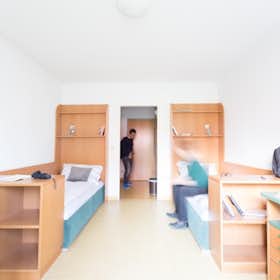 Shared room for rent for €475 per month in Vienna, Linzer Straße