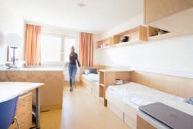 Mehrbettzimmer zu mieten für 380 € pro Monat in Vienna, Elisenstraße