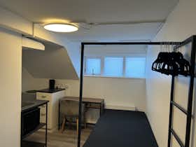 Studio for rent for €898 per month in Reykjavík, Njálsgata
