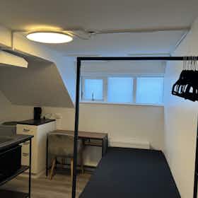 Studio à louer pour 134 999 ISK/mois à Reykjavík, Njálsgata