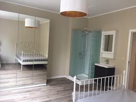 Private room for rent for €500 per month in Schaerbeek, Avenue de Roodebeek