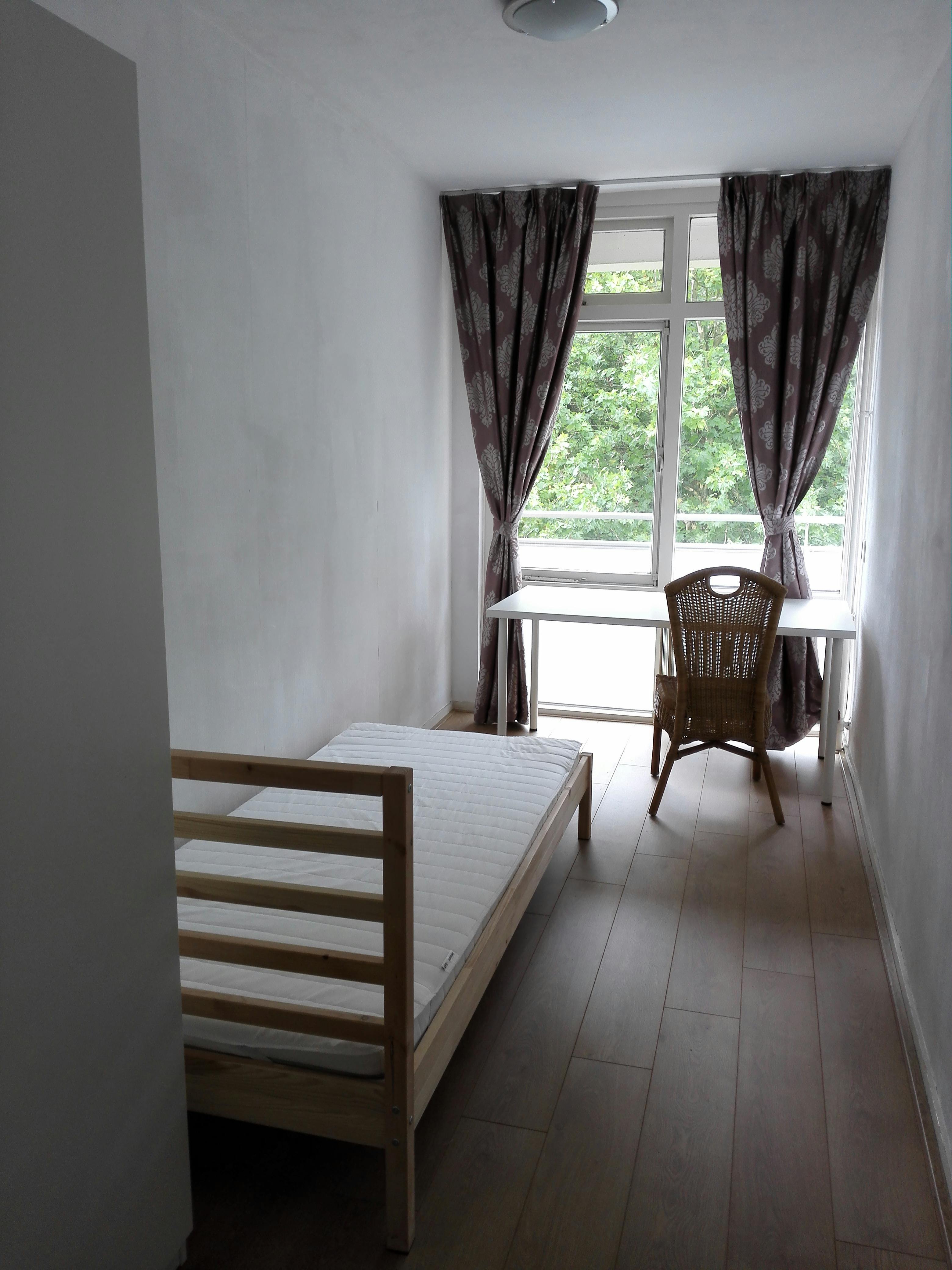 Private room in Blondeelstraat, Rotterdam (794614) room image 1
