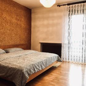 Private room for rent for €590 per month in Ljubljana, Kosova ulica