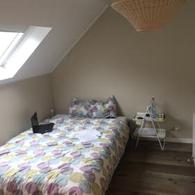 Private room for rent for €430 per month in Schaerbeek, Avenue de Roodebeek