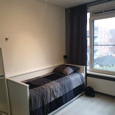 Private room for rent for €980 per month in Rotterdam, Madeliefstraat